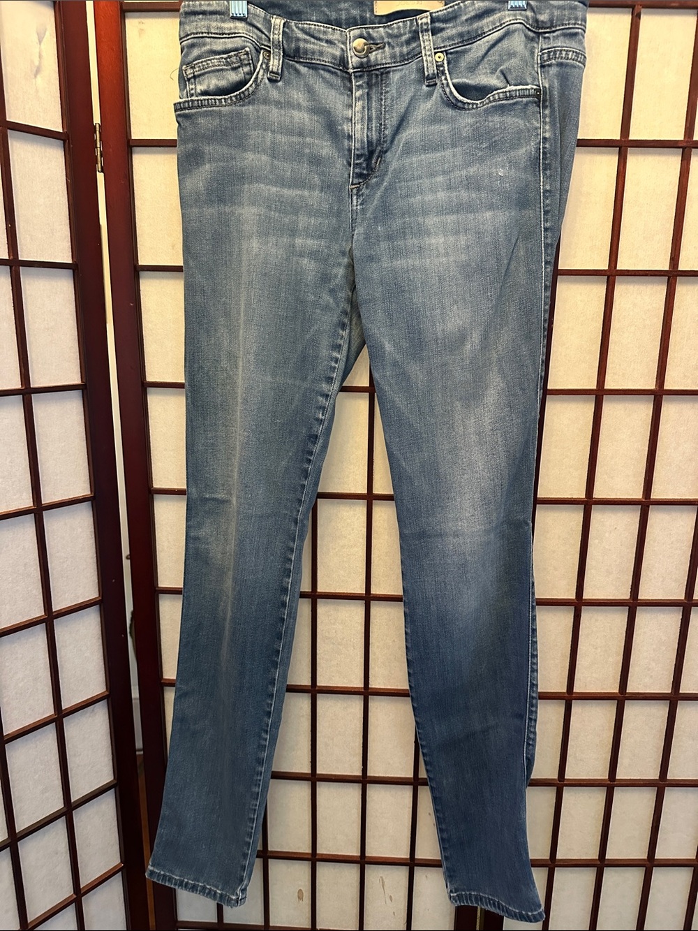 Joe's Jeans Women's Light Blue Skinny Jeans